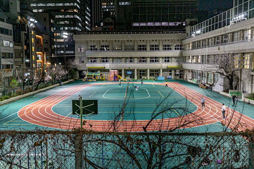 要点把领先